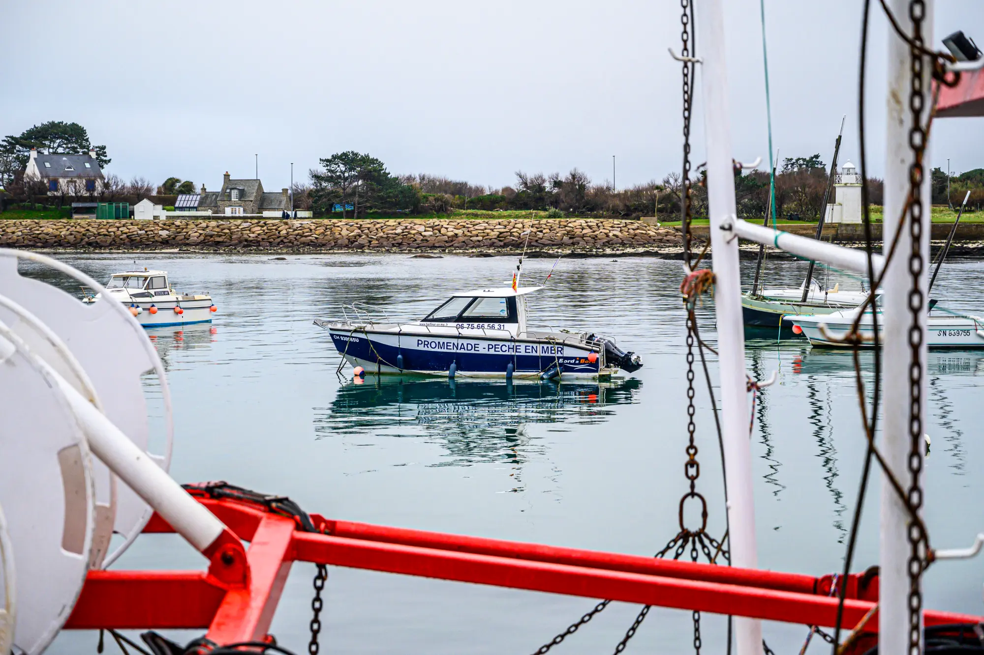 Bateaux de pêche à Barfleur