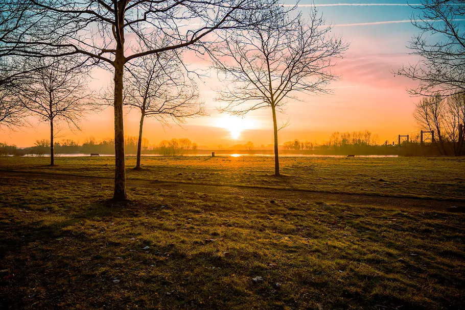 Les bords de Loire au lever du soleil