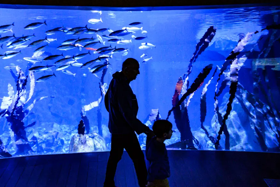 L'Oceanogràfic de Valence